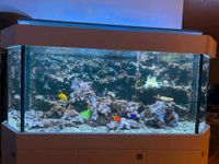 Aquariumlampe Giesemann LED Saarland - Blieskastel Vorschau