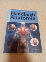 Handbuch Anatomie Baden-Württemberg - Kernen im Remstal Vorschau