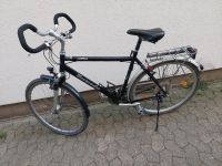 Herren Fahrrad 28Zoll Niedersachsen - Braunschweig Vorschau