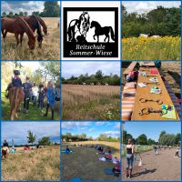 Ferienwoche auf dem Ponyhof 15.07 -19.07.24 Niedersachsen - Meinersen Vorschau