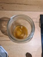 Kombucha Scoby Sachsen-Anhalt - Lutherstadt Wittenberg Vorschau