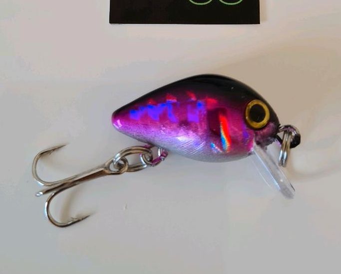 Zander Wobbler, Forellen Spoons, Crankbaits, Barsch Hecht Zander in Köln