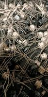 Germanium Transistoren DDR zu verkaufen Brandenburg - Falkenberg Vorschau