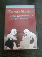 DVD Hundekinder Bayern - Collenberg Vorschau