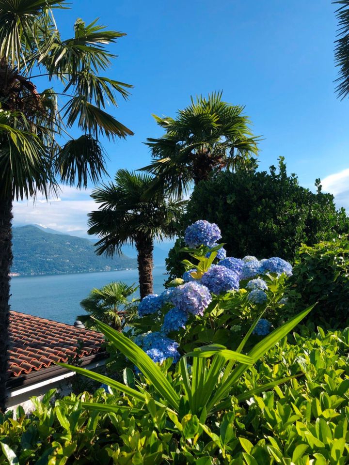 Fewo am wunderschönen Lago Maggiore - freie Termine im Juli in Laudenbach