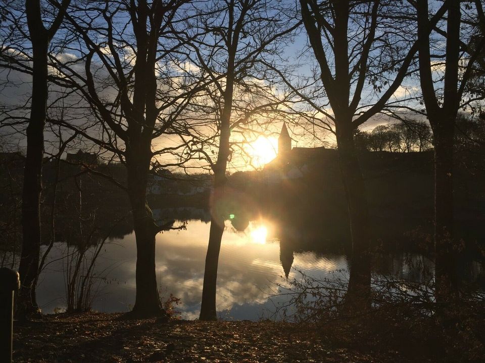 Romantische Ferienwohnung Vulkaneifel direkt am See in Ulmen