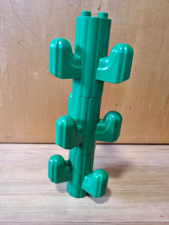 Lego Duplo Kaktus in Nersingen