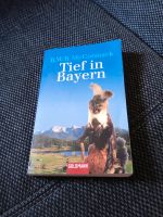 Tief in Bayern Bayern - Hof (Saale) Vorschau