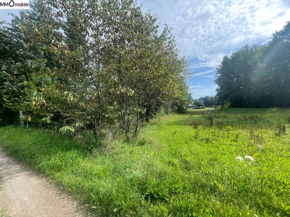 Naturnahes Baugrundstück in Goßmannsrod in Veilsdorf