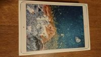 Leerkarton Apple iPad Pro 2017 MQDW2FD/A 64GB WiFi 10" Silber Rostock - Hansaviertel Vorschau