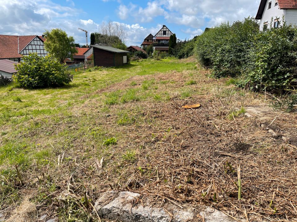 Das Grundstück für den Neubau Ihres Traumhauses. in Malsfeld