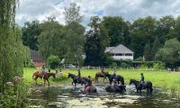 Reiterferien für Kinder und Jugendliche in Lüneburg Niedersachsen - Lüneburg Vorschau