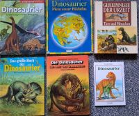 Dinosaurier Bücher Niedersachsen - Buchholz in der Nordheide Vorschau