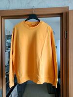 Damen Langarmshirt aus Levi's zu verkaufen Dresden - Innere Altstadt Vorschau