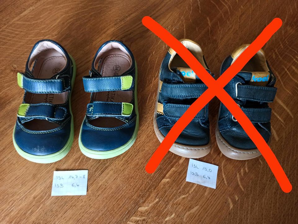 Barfußschuhe Protetika Tery Navy 24 und Koel Denis 2.0 Nappa 24 in Northeim