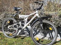 Mountainbike Curtis 26 Zoll Sachsen - Crottendorf Erzgebirge Vorschau