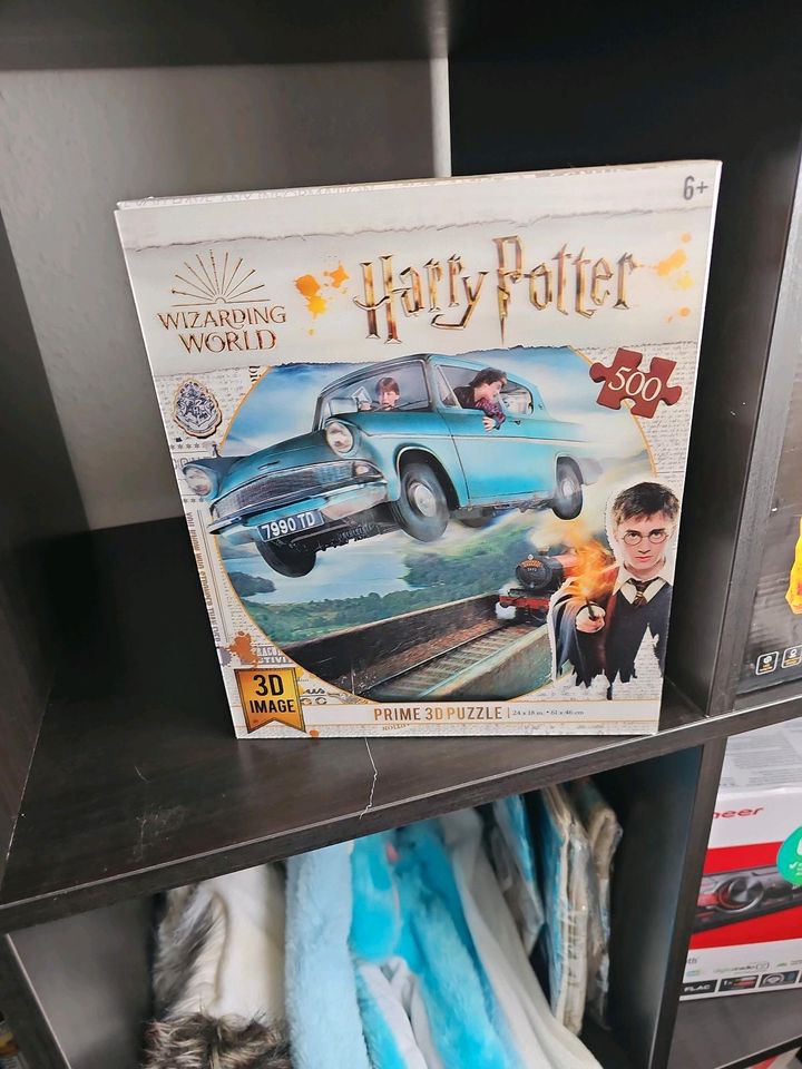 Harry Potter 3D puzzle in Kiel