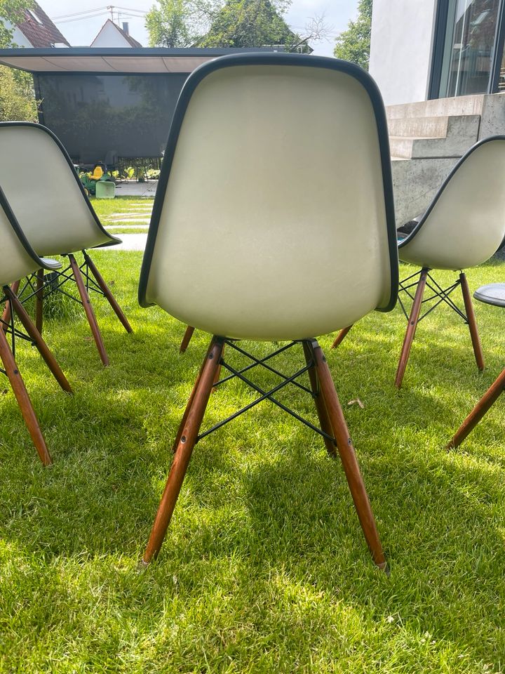 6x Vitra Herman Miller Eames Side Chair DSW Fiberglas in Metzingen