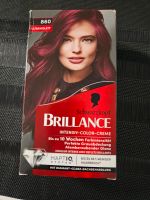 Haarfarbe Schwarzkopf Brillance 860 Sachsen-Anhalt - Wanzleben Vorschau