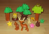 Lego Duplo Wald Waldtiere Wildtiere Tiere Baum Haus Bauernhof Zoo Bayern - Laufen Vorschau