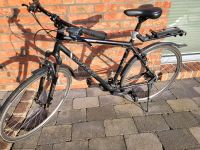 Stevens Fahrrad 28" Niedersachsen - Schiffdorf Vorschau