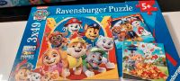 Paw Patrol 3x49 NEU Puzzle Ravensburger Baden-Württemberg - Weingarten Vorschau