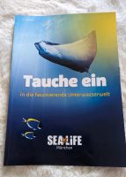 Tauche ein sealife München Bayern - Neuburg a.d. Donau Vorschau