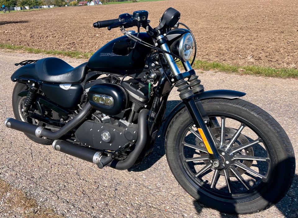 Harley Davidson Sportster XL 883 in Geislingen