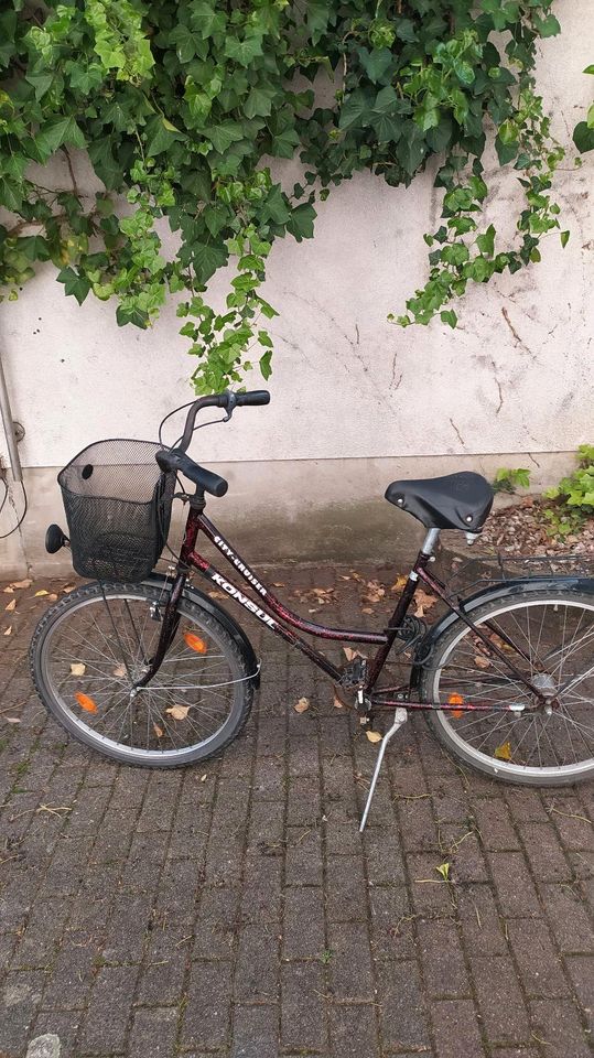 Fahrrad mit 26 Zoll in Speyer