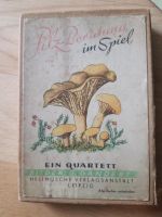 Pilzberatung, altes Kartenspiel aus den 50' ern Dresden - Seevorstadt-Ost/Großer Garten Vorschau