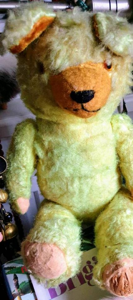 Teddy ❤ uralt neon-grün Holzwolle Plüsch Gestänge Vintage in Düsseldorf