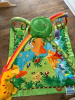 Fisher Price Rainforest Dschungel Gym Bayern - Nördlingen Vorschau