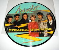 Schallplatte Single 7" - Animotion – Strange Behavior - Picture Nordrhein-Westfalen - Kamen Vorschau