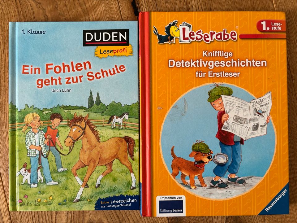 1. Lesestufe Bücher für Erstleser in Friedberg (Hessen)