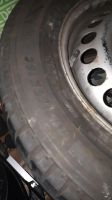 VW T5 Sommerräder 215 65 16 C Michelin Agilis tip top Berlin - Steglitz Vorschau