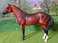 Breyer Pferd Lady Phase Swish Tail + Ranch Horse Special + SHF Bayern - Fürth Vorschau