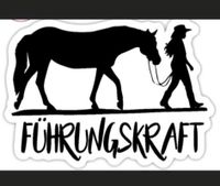 Lehrgang Trainerassistent Westernreiten, April/Mai 2024 Schleswig-Holstein - Ahrensburg Vorschau