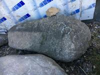 Große Granit Findlinge Natursteine Baden-Württemberg - Böbingen an der Rems Vorschau