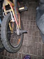 BMX-Fahrrad Hessen - Philippsthal (Werra) Vorschau