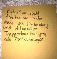 Putzkraft sucht eine Stelle Essen - Stoppenberg Vorschau