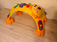 Fisher Price Löwe Musik-Spielbogen Nordrhein-Westfalen - Neunkirchen-Seelscheid Vorschau