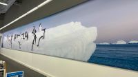 Pinguine Spannrahmen Alu 20 x 2,45 Meter Sachsen - Döbeln Vorschau