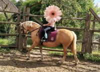 Pflegebeteiligung  Tuttelbeteiligug  Pony ☀️ Reitbeteiligung Brandenburg - Bad Freienwalde Vorschau