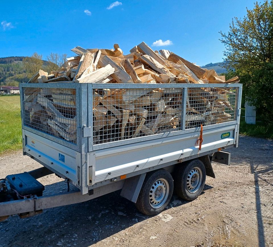 Brennholz ofenfertig und trocken in Eisfeld