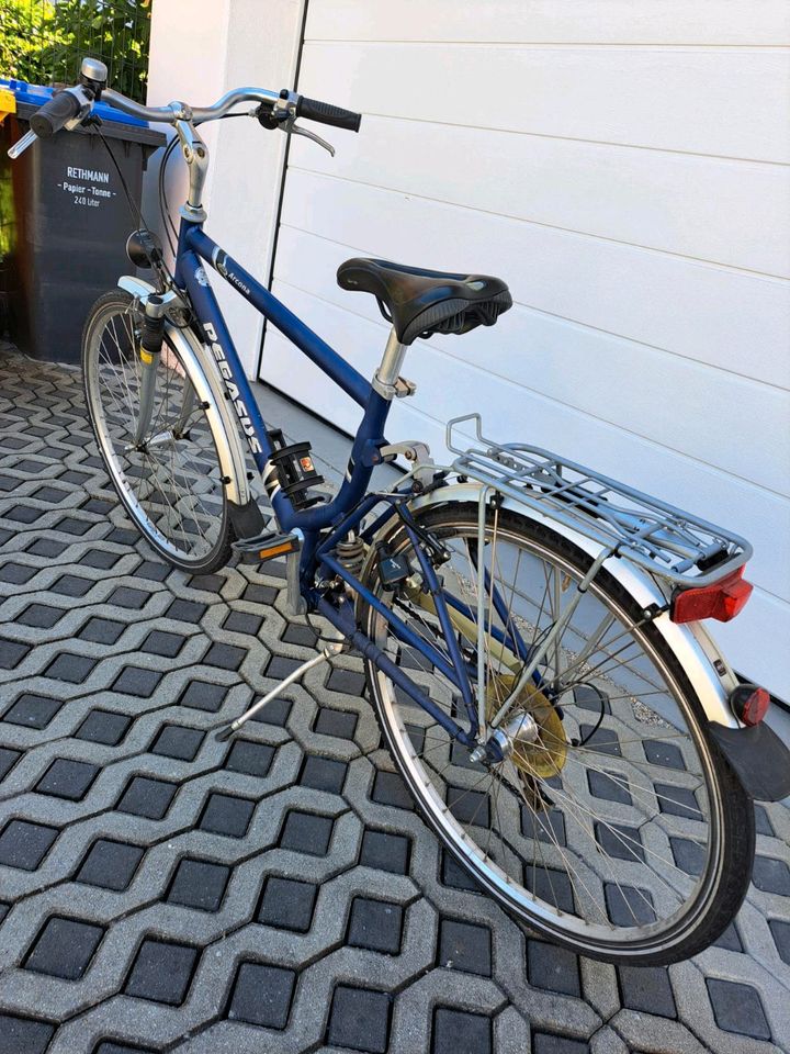 Fahrrad pegasus in Sömmerda