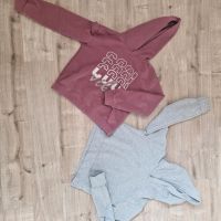 Hoodies, Pullover Gr.134/ 140 Sachsen - Grimma Vorschau