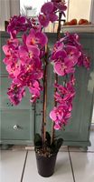 Orchidee Baum ❗️Boden Kunst Pflanze H 130cm wie NEU pink Deko Wandsbek - Hamburg Volksdorf Vorschau