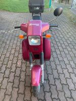 Simson SR 80 XGE Sachsen - Rochlitz Vorschau