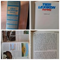 Tier Lexikon farbig, von A-Z, Buch Niedersachsen - Holle Vorschau