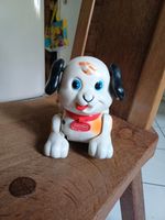 Fisher-Price Hund zum Spielen und Hinterherziehen Nordrhein-Westfalen - Solingen Vorschau